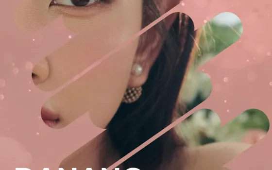 다낭 에코걸 예약 및 시스템 전체적인 에코걸 안내 지침