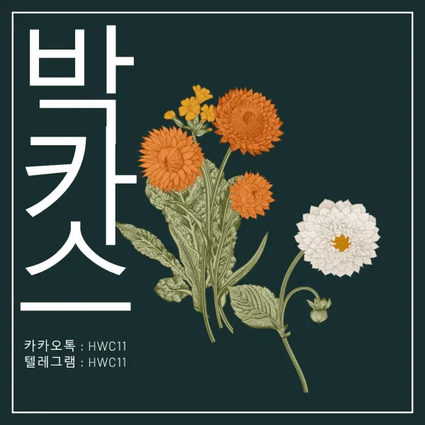 박카스 가라오케, 모두가 알고 있는 유명한 가라오케!