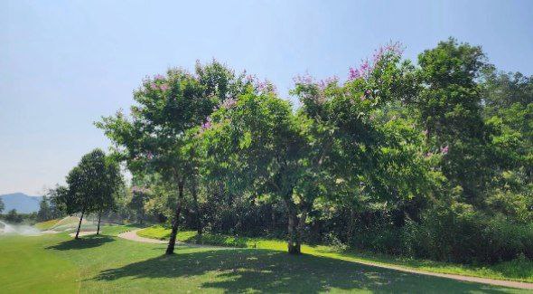 a3dd2f056a05208ca35b872202fef3fa_1770965136_2892.jpg a3dd2f056a05208ca35b872202fef3fa_1770965136_2892.jpg