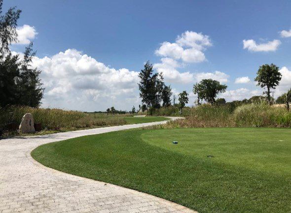 a3dd2f056a05208ca35b872202fef3fa_1770965146_1347.jpg a3dd2f056a05208ca35b872202fef3fa_1770965146_1347.jpg